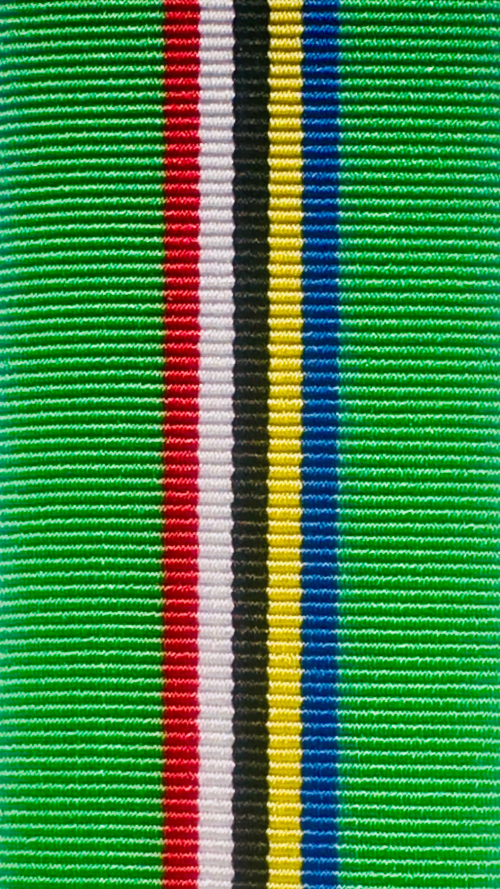 Medal for Distinguished Conduct and Loyal Service Ribbon 1994-2003
