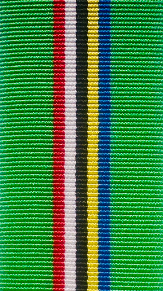 Medal for Distinguished Conduct and Loyal Service Ribbon 1994-2003